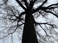 -天津盘山风景名胜区