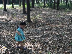 -昆山城市生态森林公园