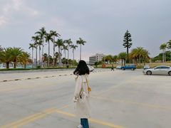-海堤纪念公园