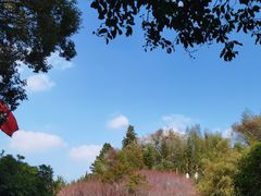 -古田会议纪念馆