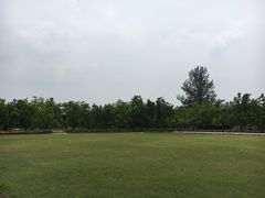 -御林古桑园