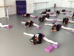 -西安小天鹅艺术团(金花路校区)