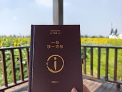 -小慧莜面村(青东店)