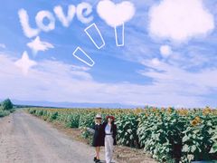 -毡房姑娘·新疆菜·烧烤