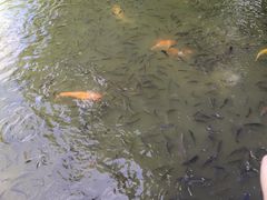 -珠海圆明新园