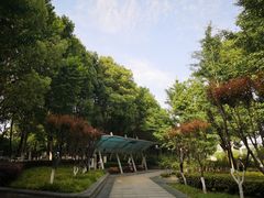 -后襄河公园