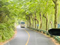 -莫干山风景区