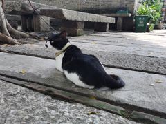 -烟桥古村