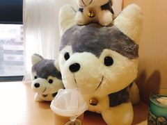 -Husky Go! 哈士奇体验馆·宠物咖啡厅狗咖