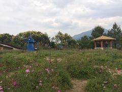 -广州市流溪河国家森林公园