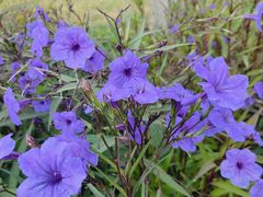 -汉长安城未央宫国家考古遗址公园