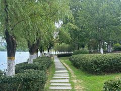 -天鹅湖体育公园