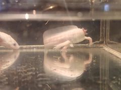 -太平洋海底世界