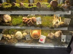 -滇野云南野生菌餐厅(陕西南路店)