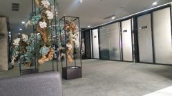 -北京炫美医疗美容