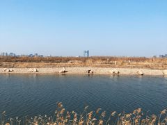 -春花秋色城市公园