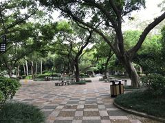 -柳侯公园