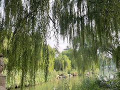 -济南大明湖景区