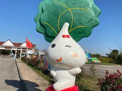 -上海都市菜园