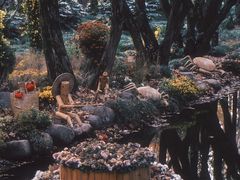 -上海共青森林公园