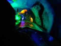 -泰安地下龙宫景区