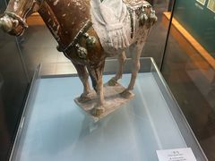 -衢州市博物馆