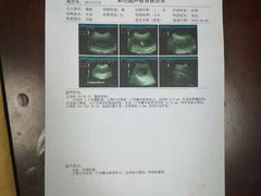 -派美特宠物医院·核磁CT·骨科肿瘤·疑难转诊(沈农禾丰店)
