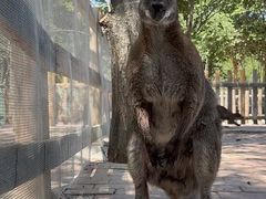 -水上乐园·欢乐世界