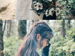 -铁山坪森林公园