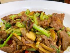 -新疆巴州金丝特餐厅(大钟寺店)