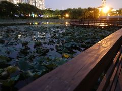 -新江湾城公园