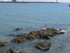 -青岛海滨风景区