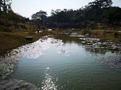 -东莞植物园