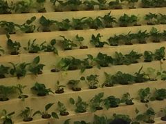 -热带雨林汗蒸馆(汶水东路店)