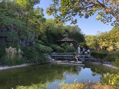 -上海吴淞炮台湾国家湿地公园