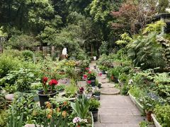 -谷咖啡·鲜花绿植花园餐厅