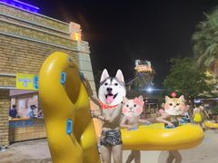 -武汉玛雅海滩水公园