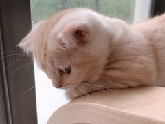 -麦当劳(浦珠路得来速店)