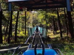 -沂蒙山旅游区云蒙景区(蒙山国家森林公园)
