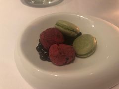 -蝶舍·MAISON PAPILLON