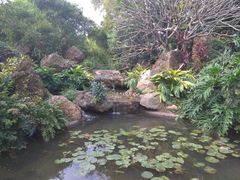 景点-晓港公园