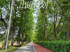 -上海长兴岛郊野公园