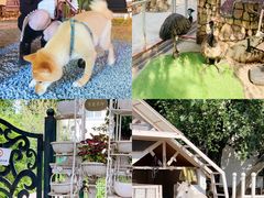 -J Create城市露营咖啡·简餐·宠物(上海动物园店)