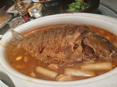 红烧黄河鲤鱼-阿五黄河大鲤鱼(英协路店)