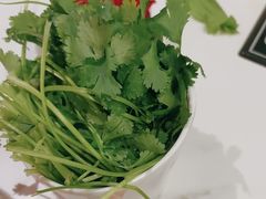 -八合里潮汕鲜牛肉火锅(上海汇智广场店)