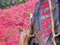 -木兰云雾山