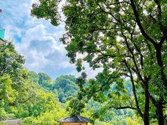 -南山植物园