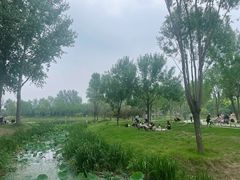 -东郊湿地公园