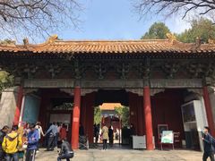 -北京国子监胡同