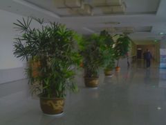 -中国海洋大学（崂山校区）-图书馆